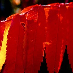 Kathleen Mcculloch Photo 15