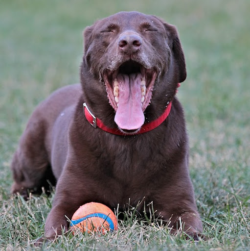 Robert Beeler Photo 7