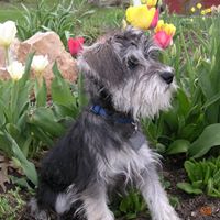 Ann Burns Photo 27