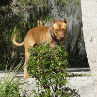 John Goodin Photo 23