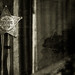 James Nolan Photo 27
