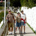 Michele Huff Photo 8