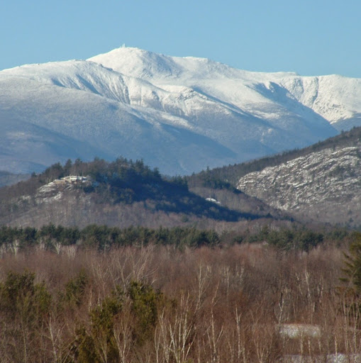 Tony Hackett Photo 7