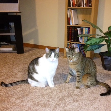 Joseph Baca Photo 11