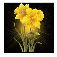 Chris George Photo 29