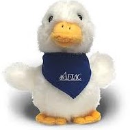 Pamela Hoffman Photo 25