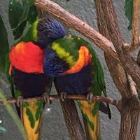 Molly Roach Photo 14