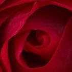 Veronica Casillas Photo 17