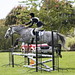 Marie Wilber Photo 12