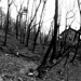 James Beaudry Photo 37