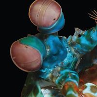 Cathryn Jenkins Photo 8