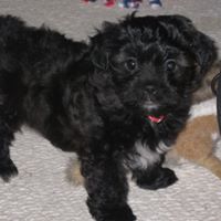 Kathy Maxey Photo 14