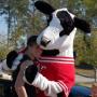 Tim Northrup Photo 12