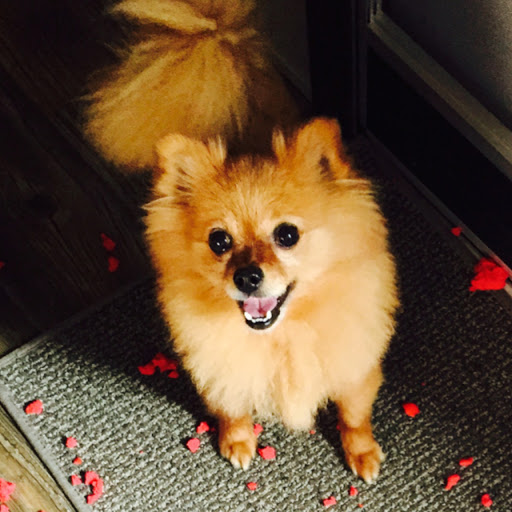 Rebecca Zamora Photo 8