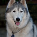 Douglas Reese Photo 10