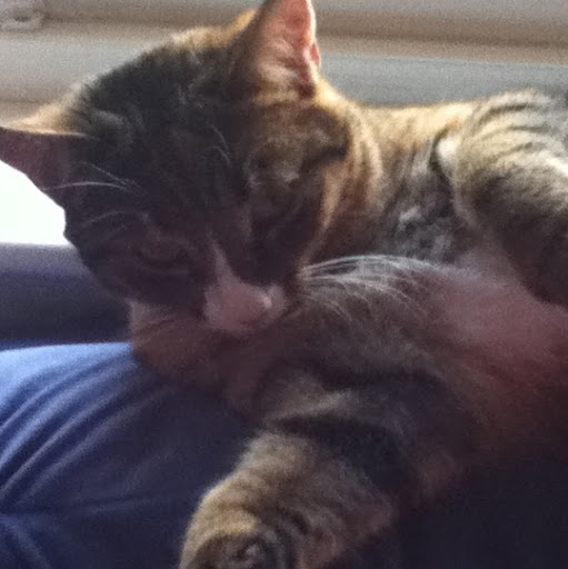 Chelsea Fletcher Photo 27