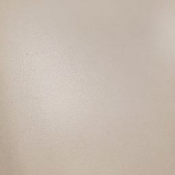 Cynthia Perry Photo 19