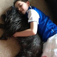 John Mccaffrey Photo 37