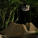 James Goodwin Photo 23