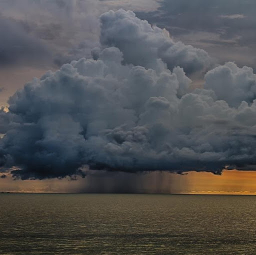 Vicki Fleming Photo 30