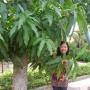 Anh Pham Photo 33