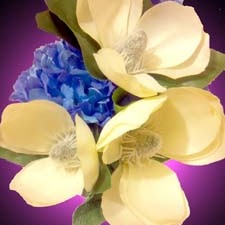 Jill Christensen Photo 9