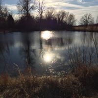 Rhonda Simon Photo 37