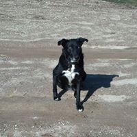 Robert Nyman Photo 6