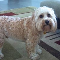 Tracy Mcgregor Photo 30