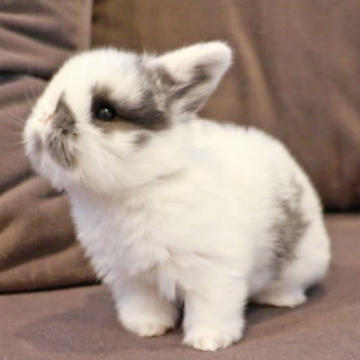 Karen Procter Photo 4