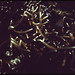 John Few Photo 6