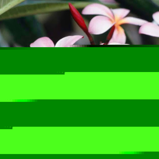 Courtney Barker Photo 13