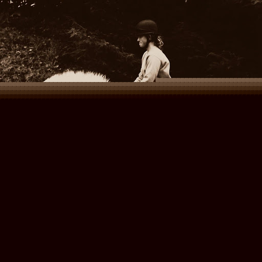 Meredith Hill Photo 27