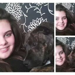 David Dillon Photo 16