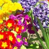 Victoria Hahn Photo 8