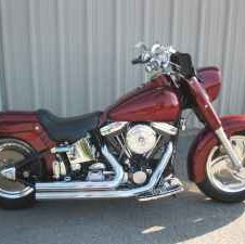 Cecil Fleming Photo 10