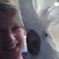 Robin Albrecht Photo 20