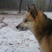 Scott Gaither Photo 15