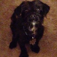 Teresa Handy Photo 9