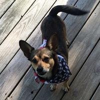 Johnny Rutledge Photo 19