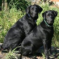 Stephen Rapp Photo 23