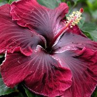 Anna Hardesty Photo 8