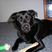 Chrystal Light Photo 7