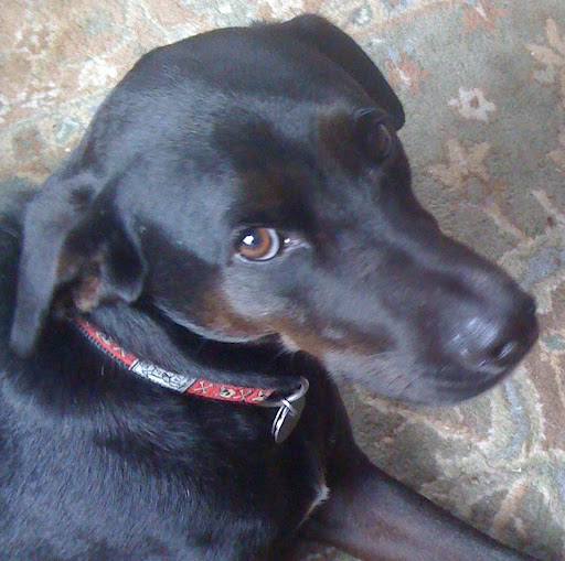 Daniel Thiel Photo 35