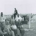 Mary Treadway Photo 26