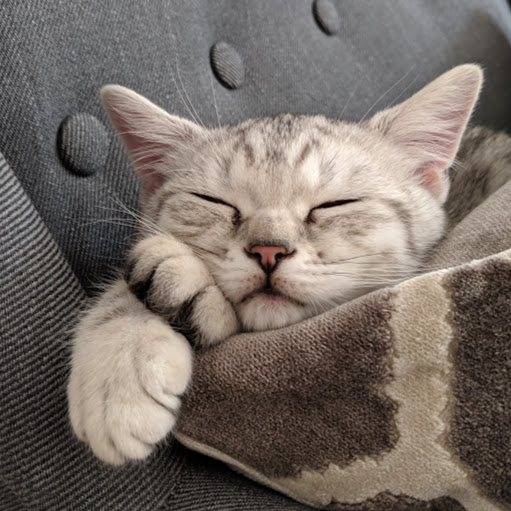 Edward Jenkins Photo 27 Edward Jenkins Photo 27