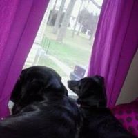 Amy Regian Photo 2