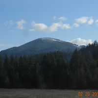 Gayle Alexander Photo 23