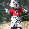 Kathy Burkett Photo 25