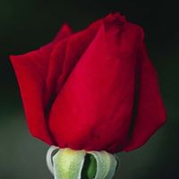 Deepak Chudasama Photo 2